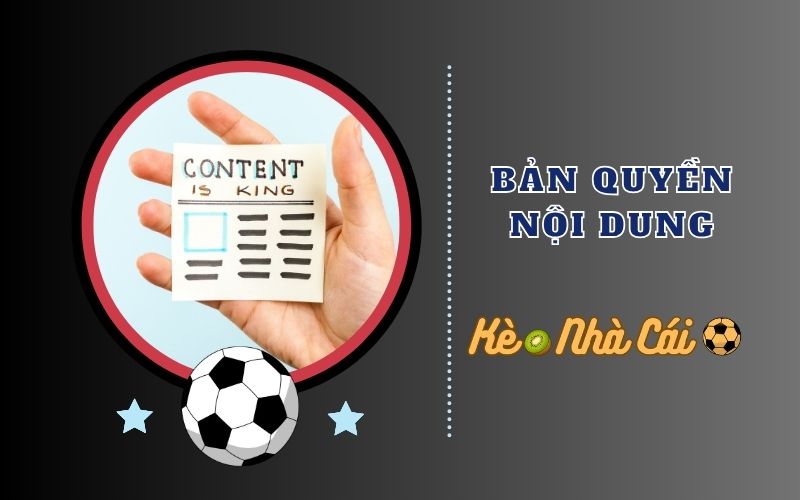 Điều khoản sử dụng 3 Bản quyền nội dung và trách nhiệm pháp lý
